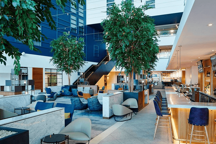 The hotel ambience