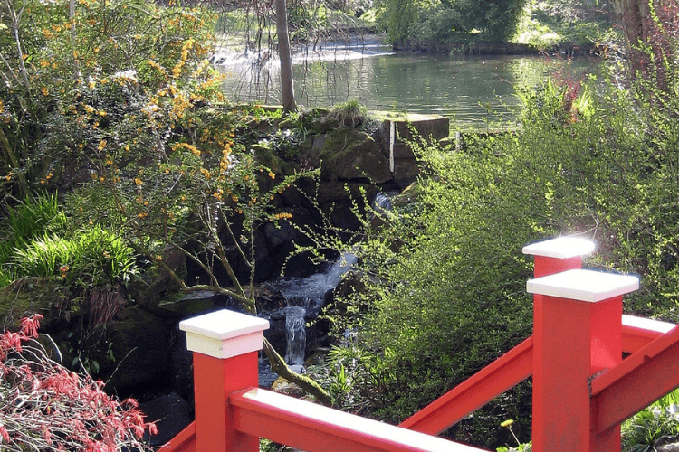 Clyne Gardens, Swansea, South West, Wales