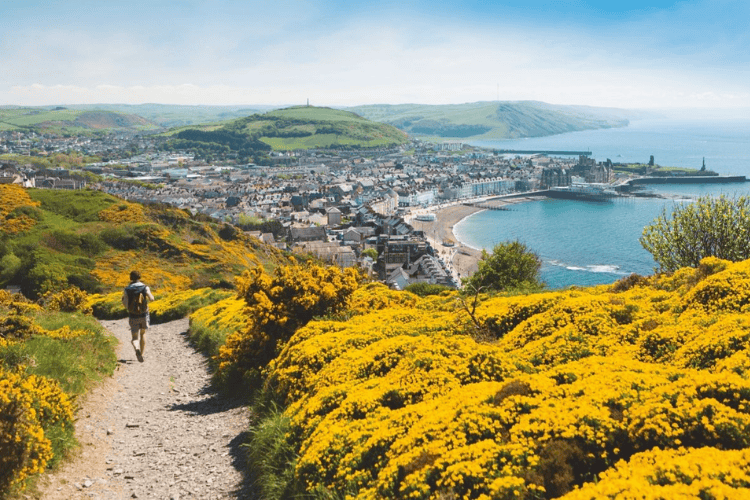 Constitution Hill, West Wales