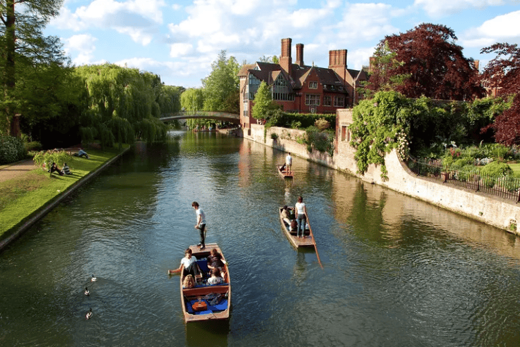 Oxford / Cambridge