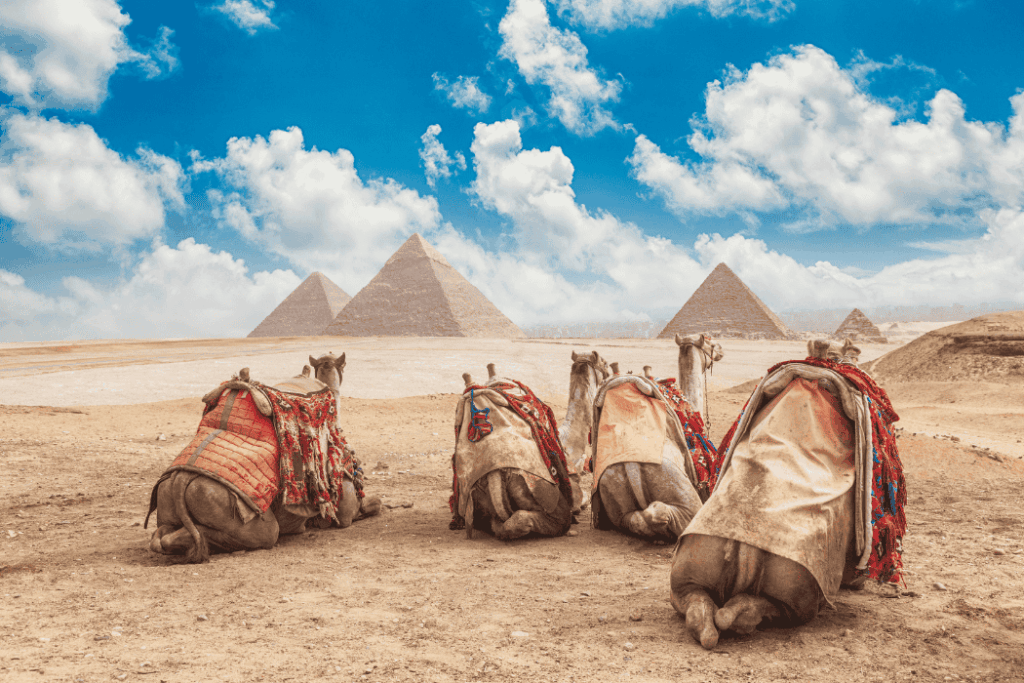 Cairo View