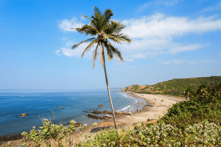 Baga Beach, Goa, India