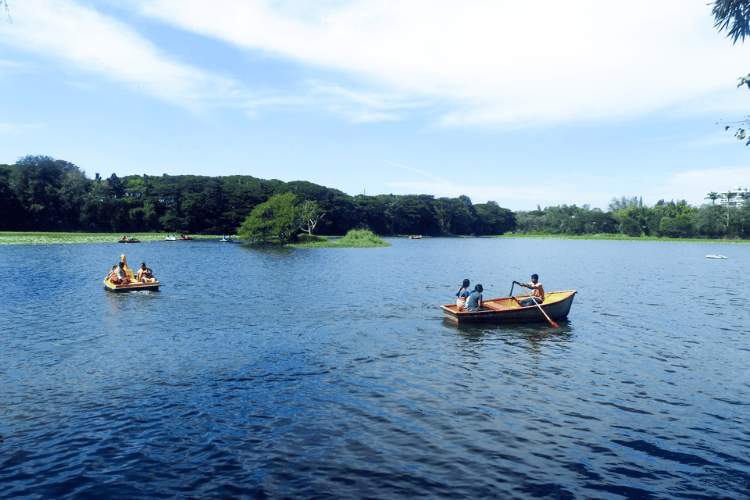 Karanji Lake, Mysore, India