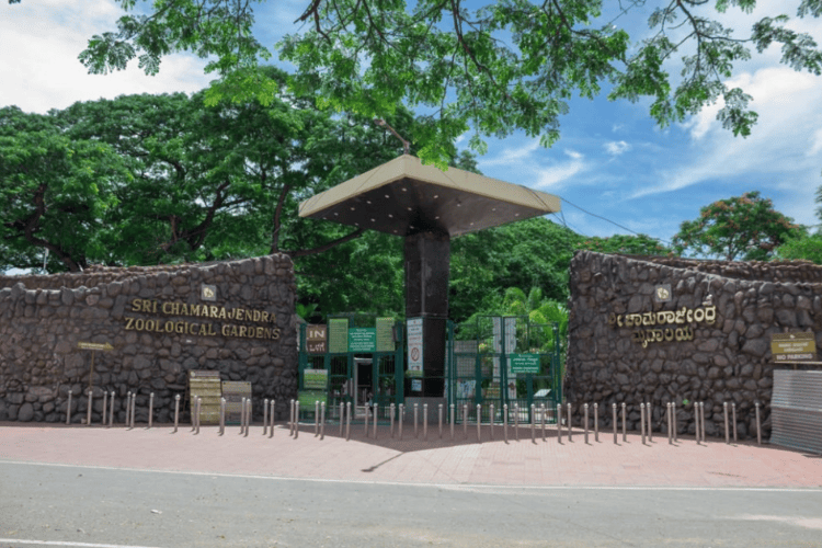 Mysore Zoo, Mysore, India