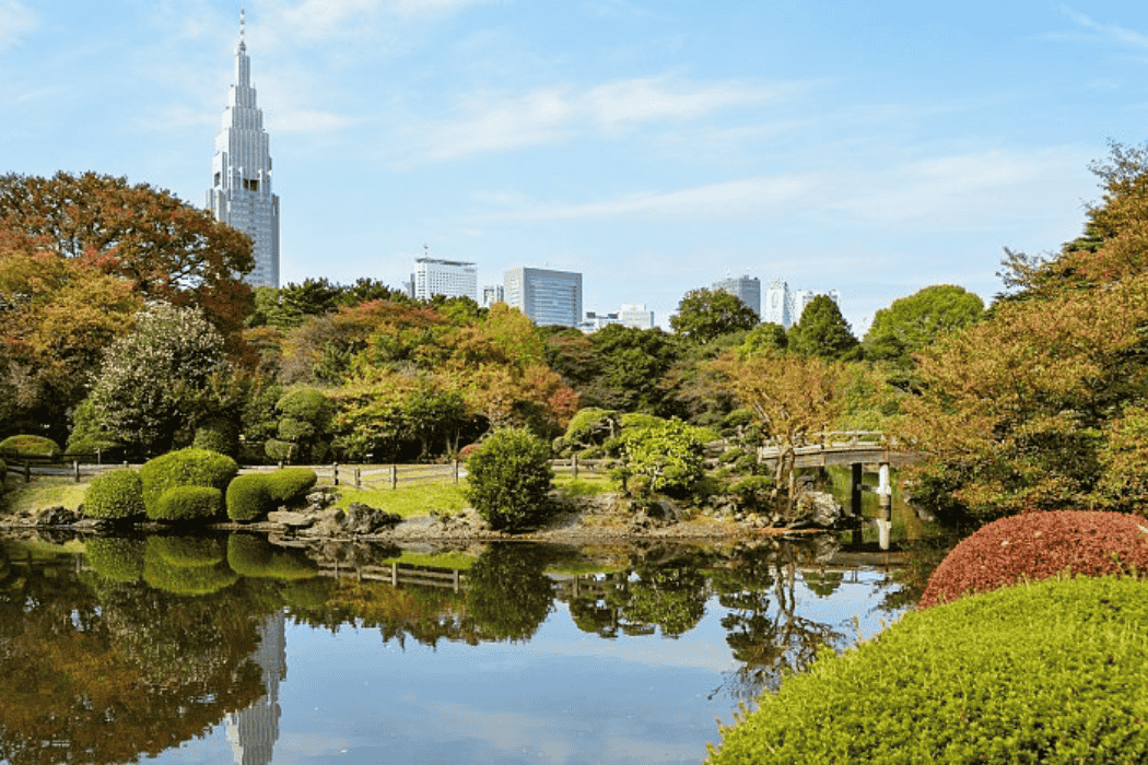 Shinjuku Gyoen National Garden pond with the Tokyo skyline in the background.