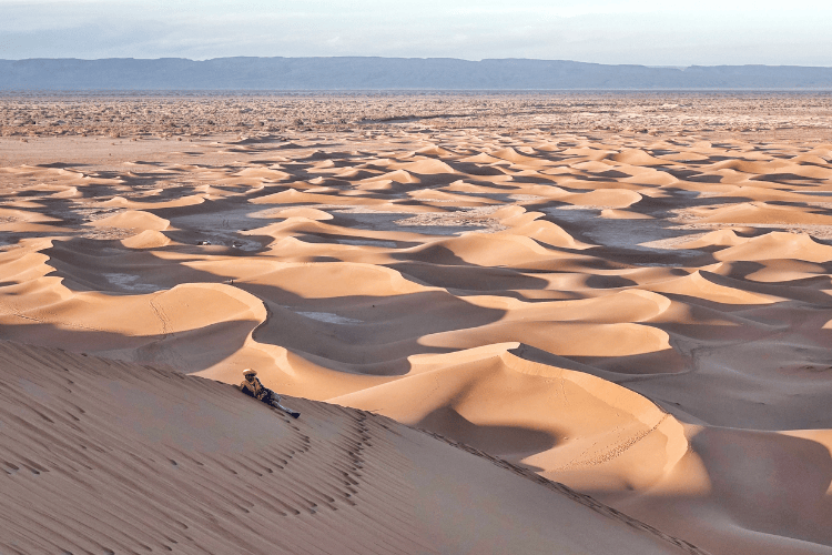 Visit the Desert, Kuwait