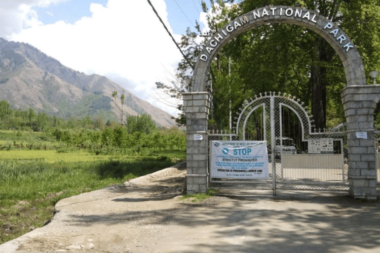 Dachigam National Park, Kashmir
