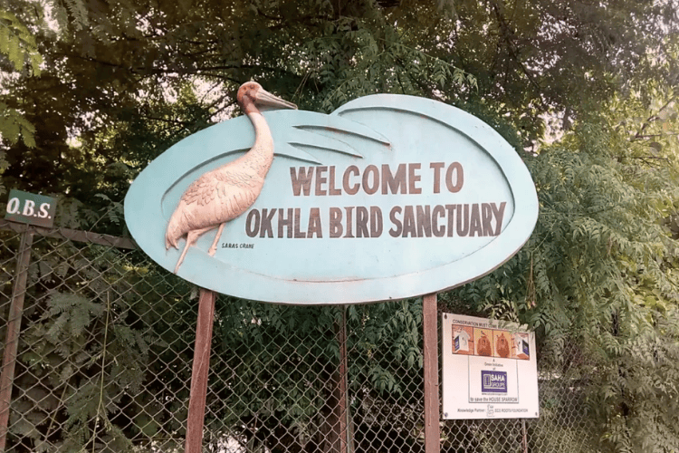 Okhla Bird Sanctuary, Delhi, India